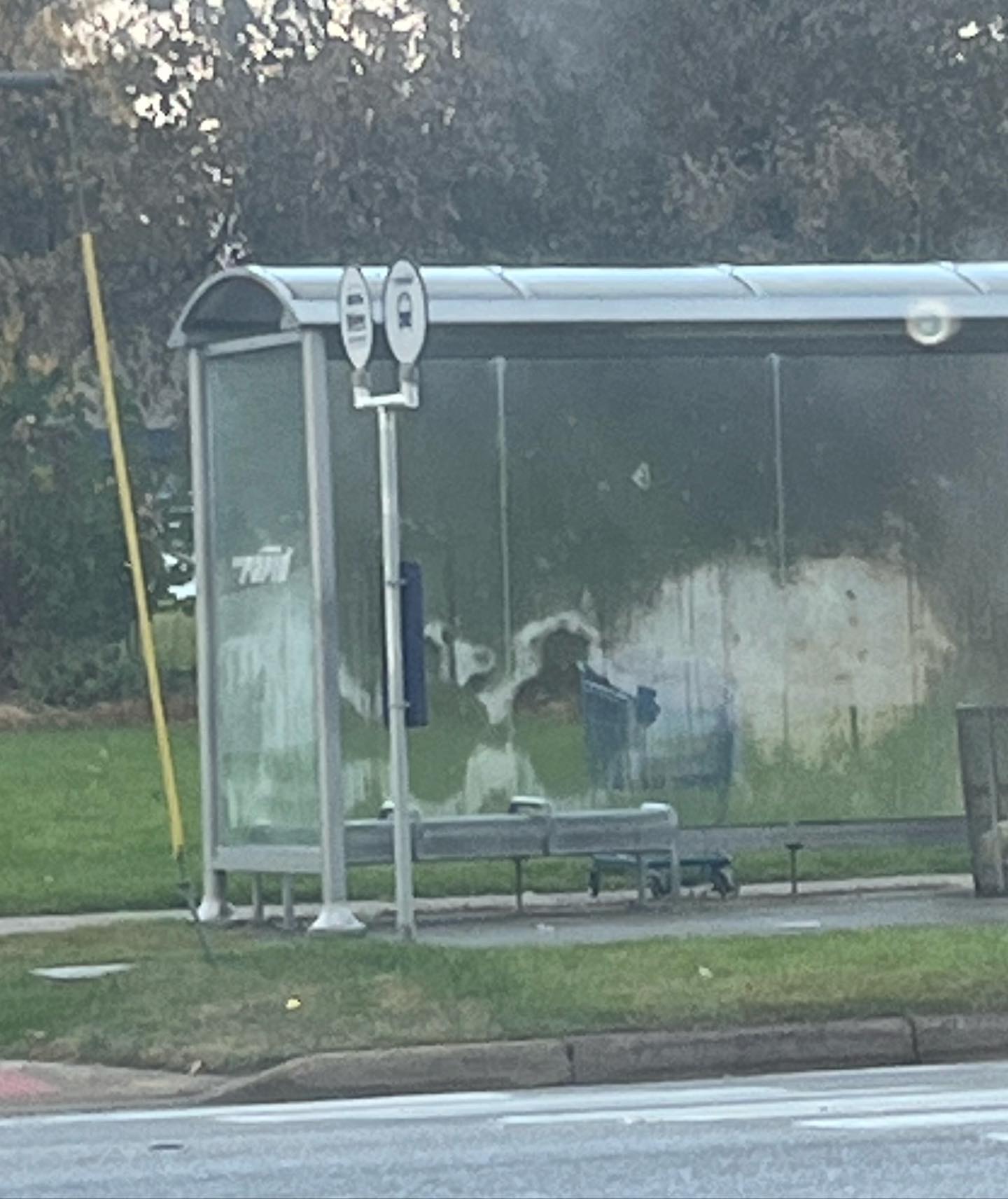 haylujan instagram image archive image