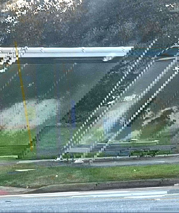 haylujan image ~ Altpins