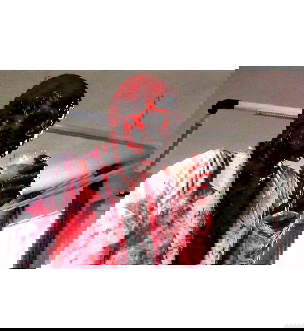 haylujan image ~ Altpins