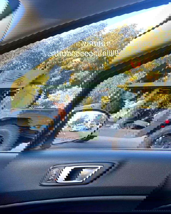 haylujan image ~ Altpins