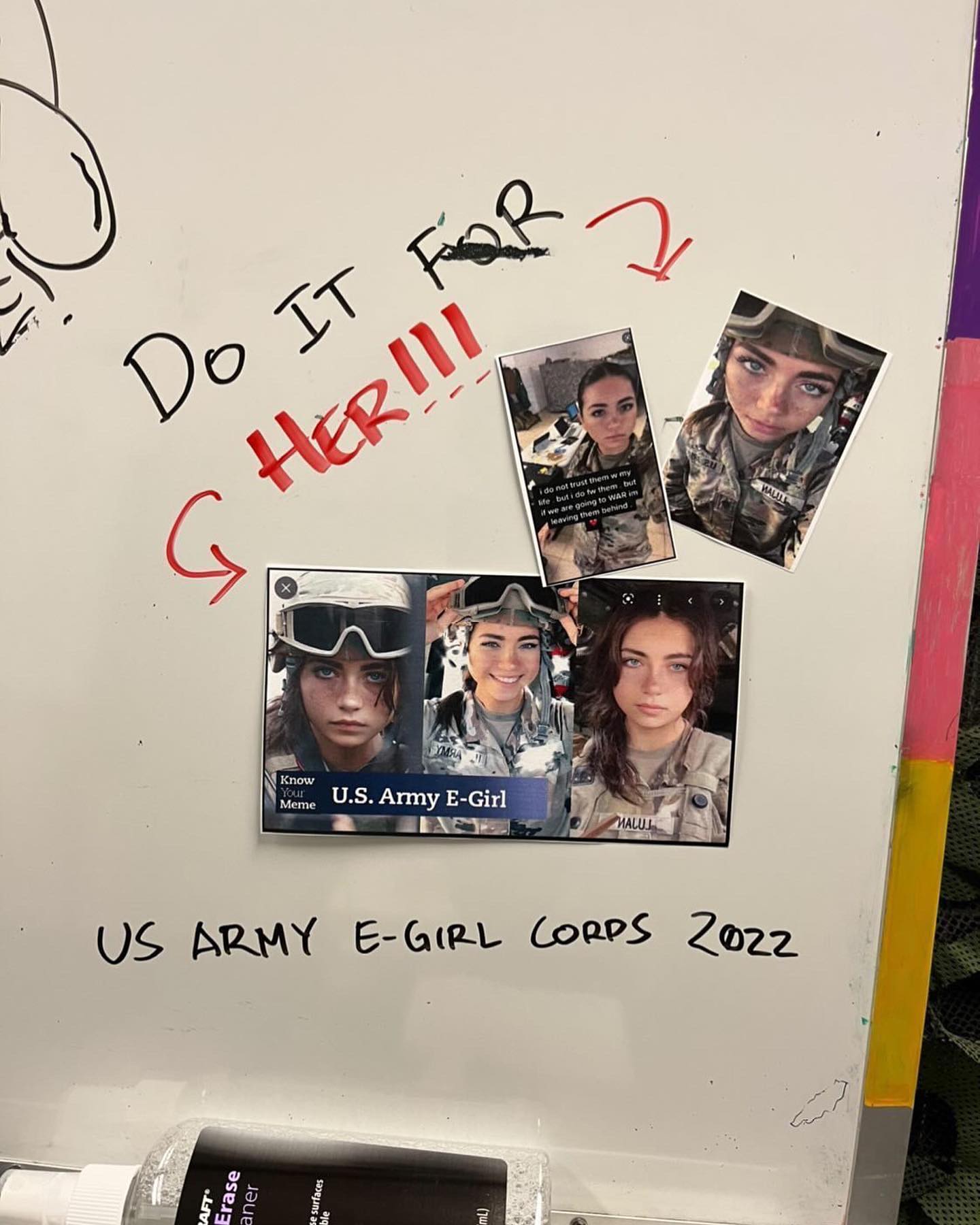 haylujan instagram image archive image