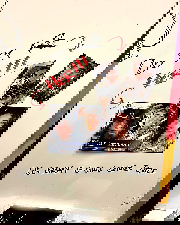 haylujan image ~ Altpins