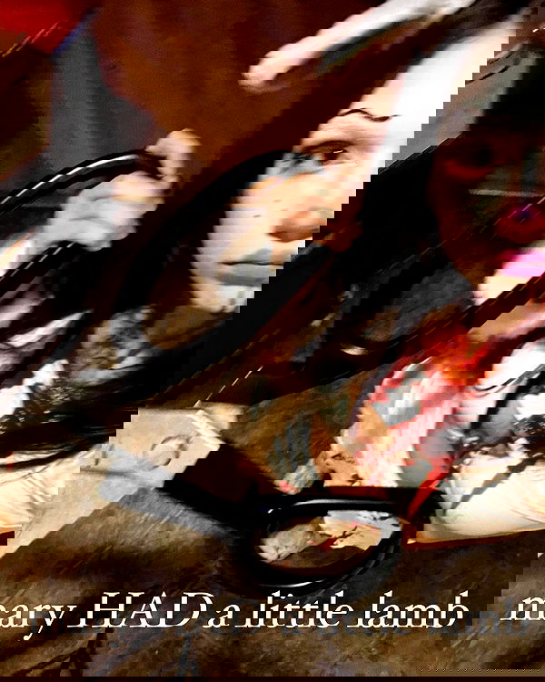 haylujan image ~ Altpins