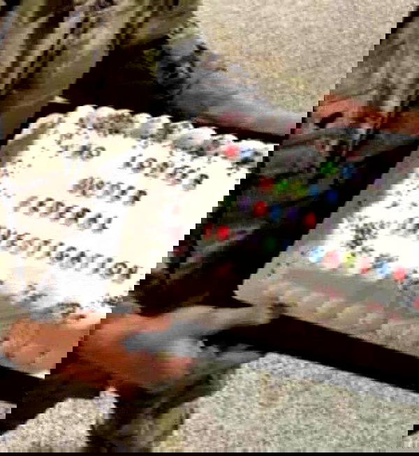 haylujan image ~ Altpins