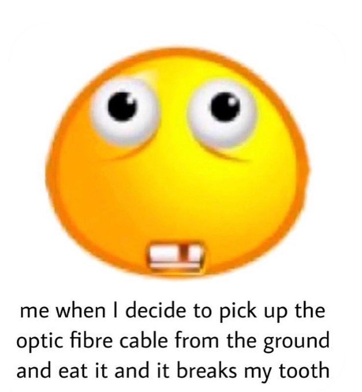 haylujan instagram image archive image