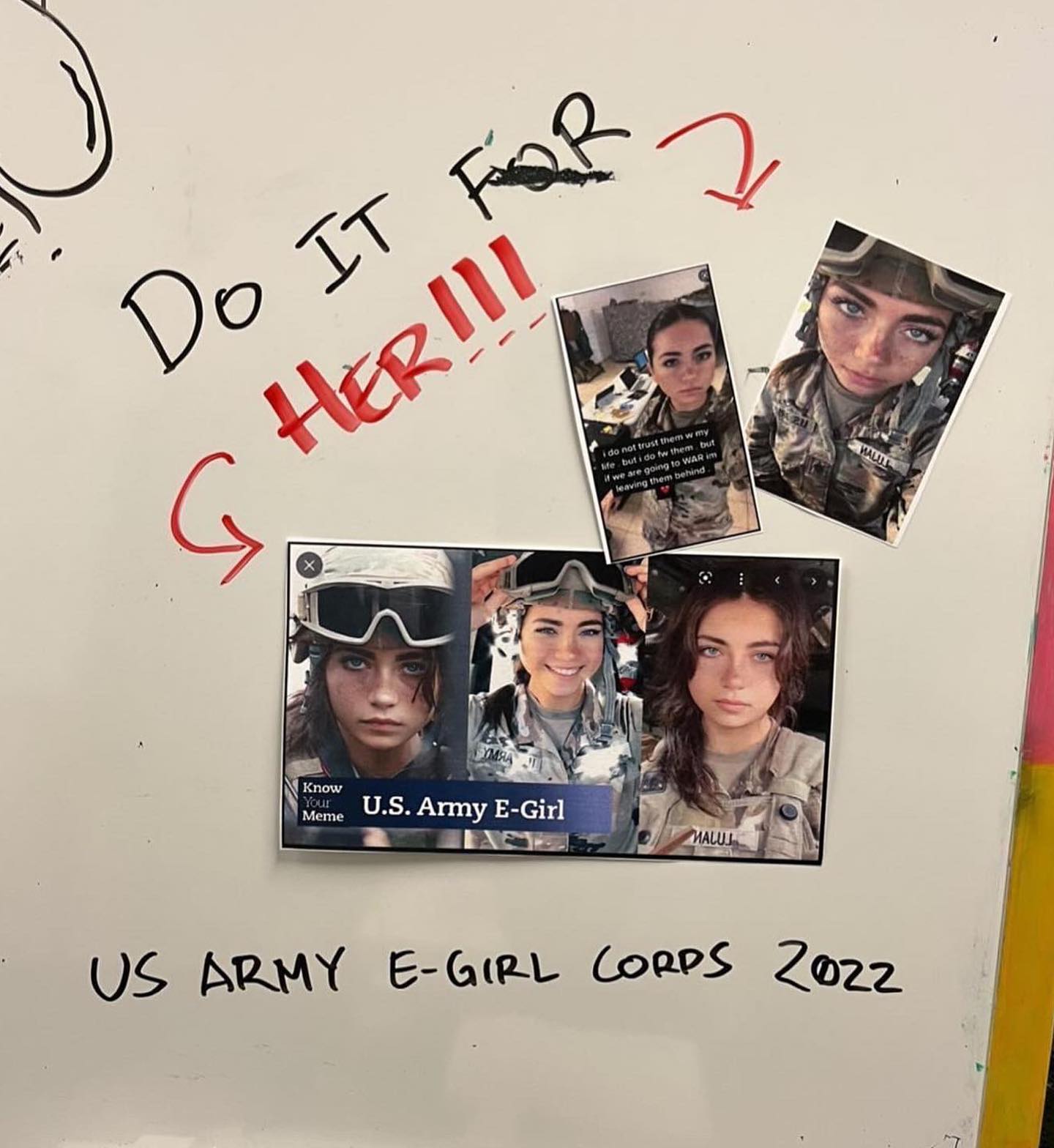 haylujan instagram image archive image