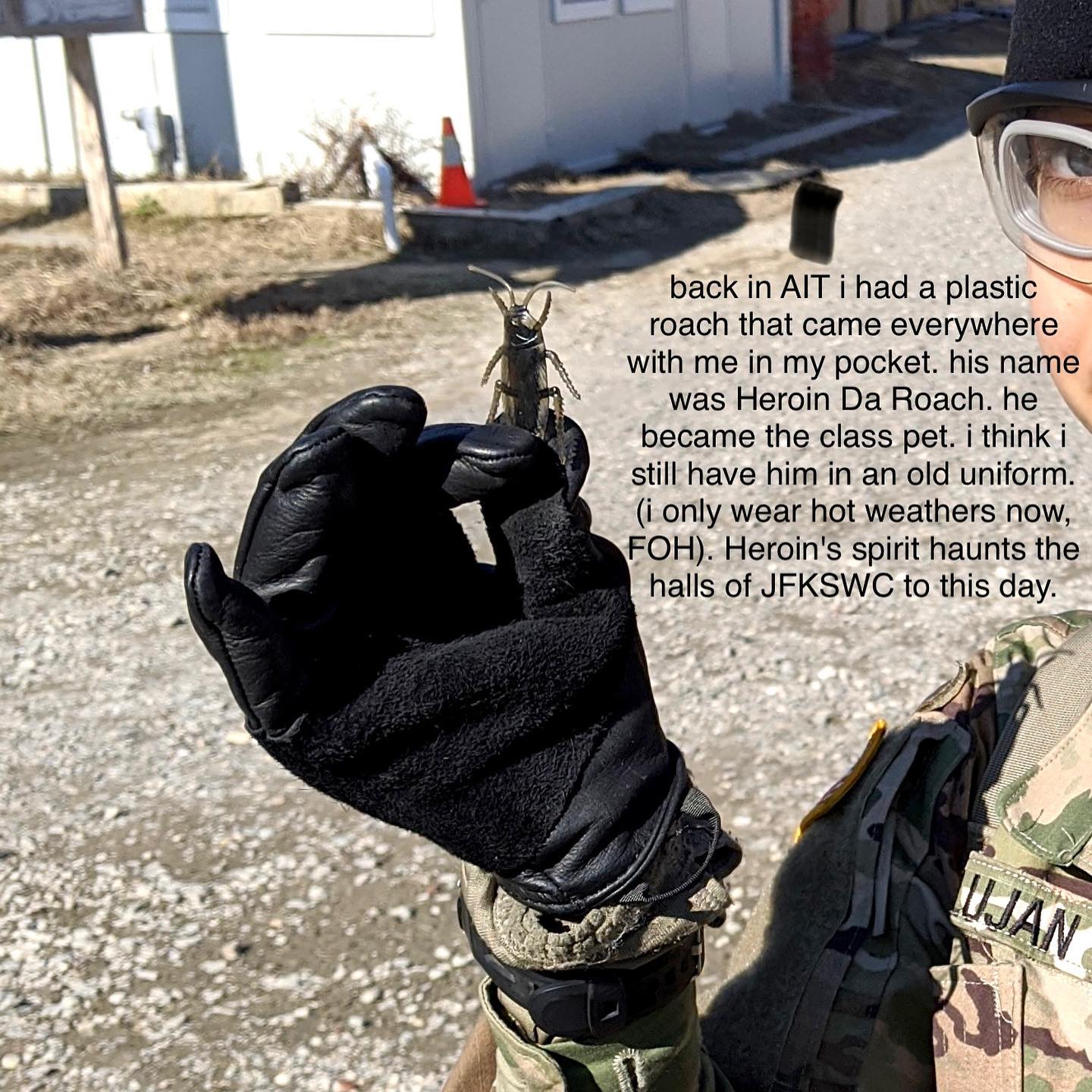 haylujan instagram image archive image