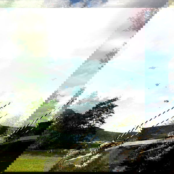 haylujan image ~ Altpins