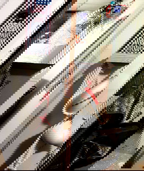 haylujan image ~ Altpins