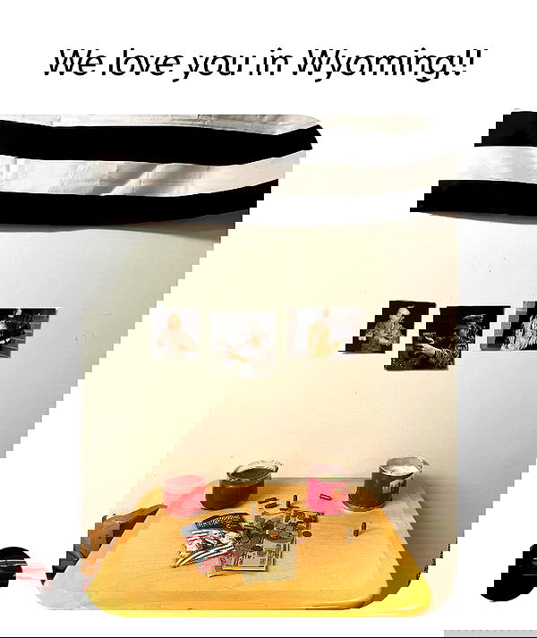 haylujan image ~ Altpins