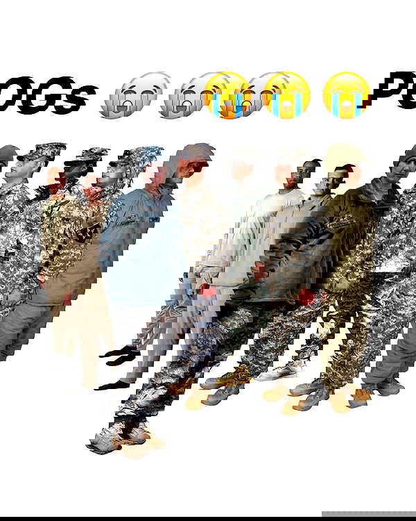 haylujan image ~ Altpins