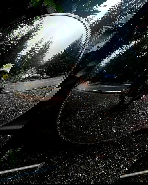 haylujan image ~ Altpins