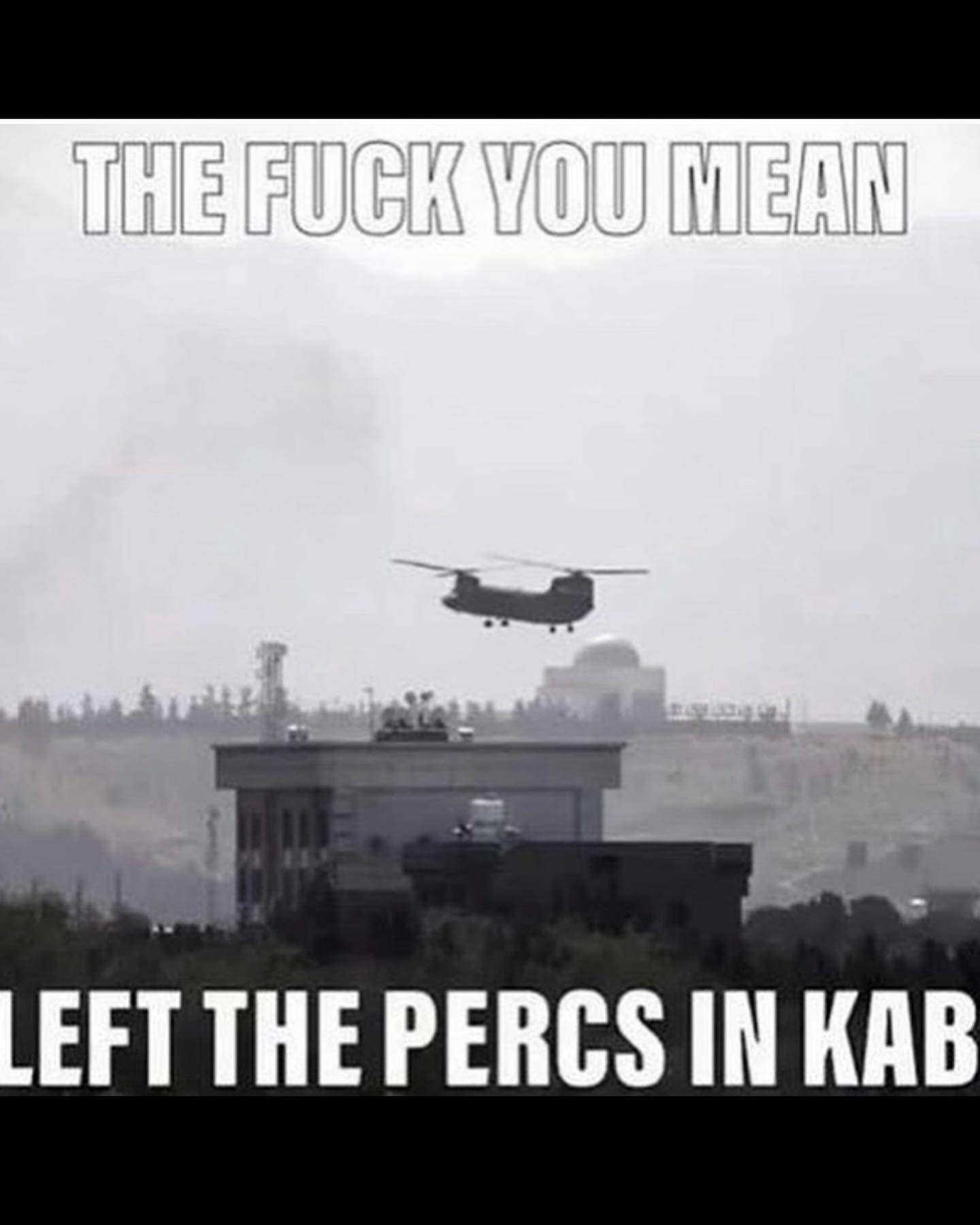 haylujan instagram image archive image