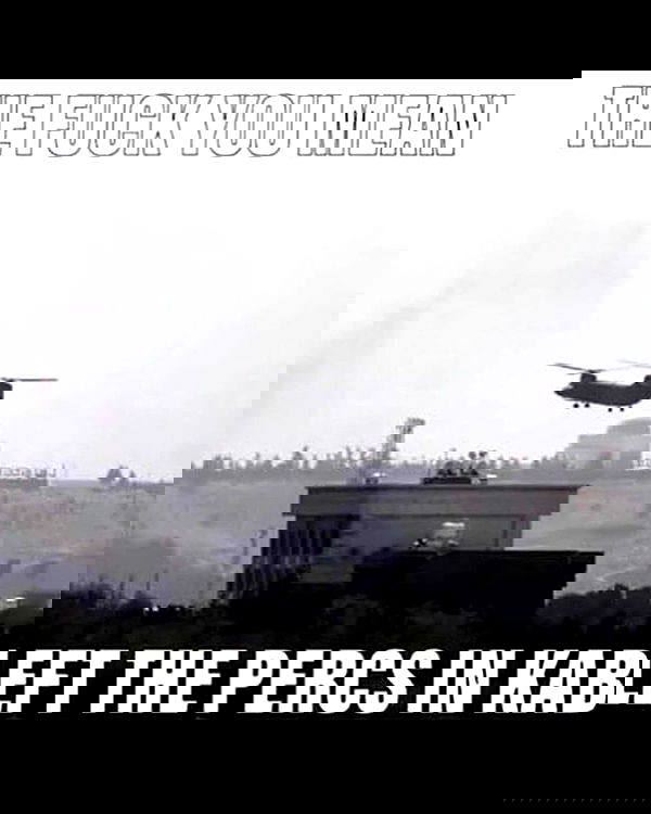 haylujan image ~ Altpins