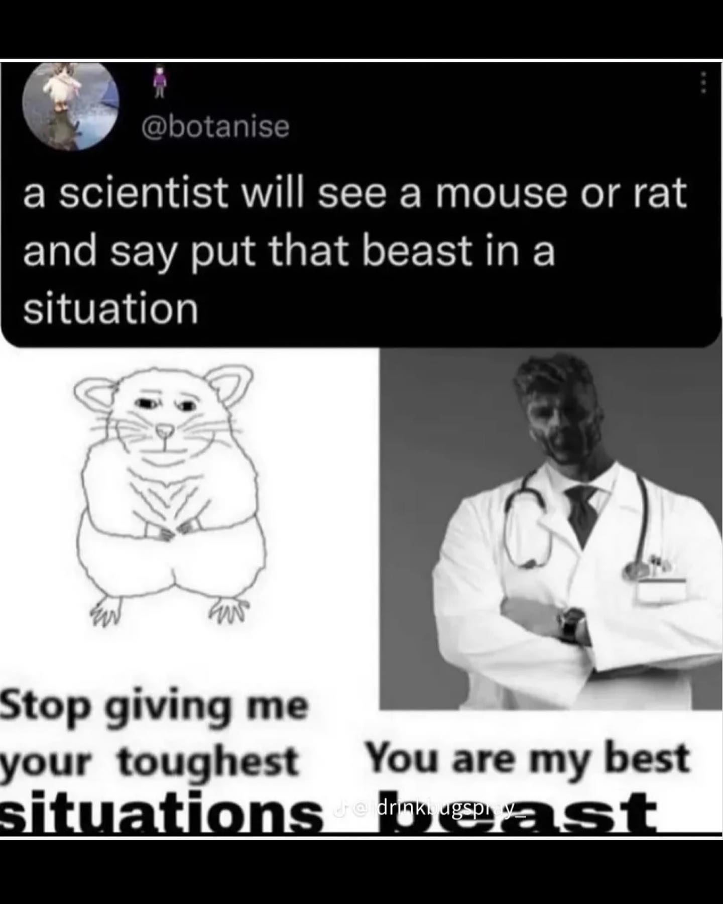 haylujan instagram image archive image