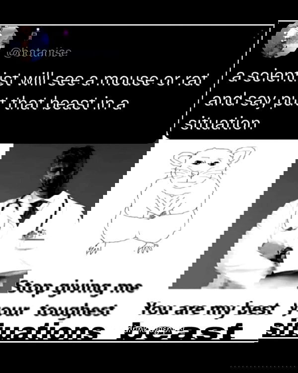 haylujan image ~ Altpins