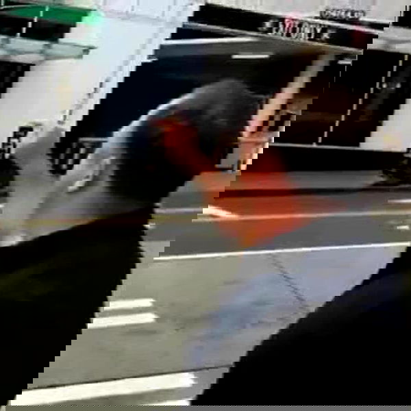 haylujan image ~ Altpins