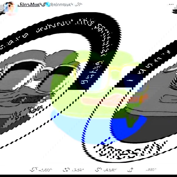 haylujan image ~ Altpins
