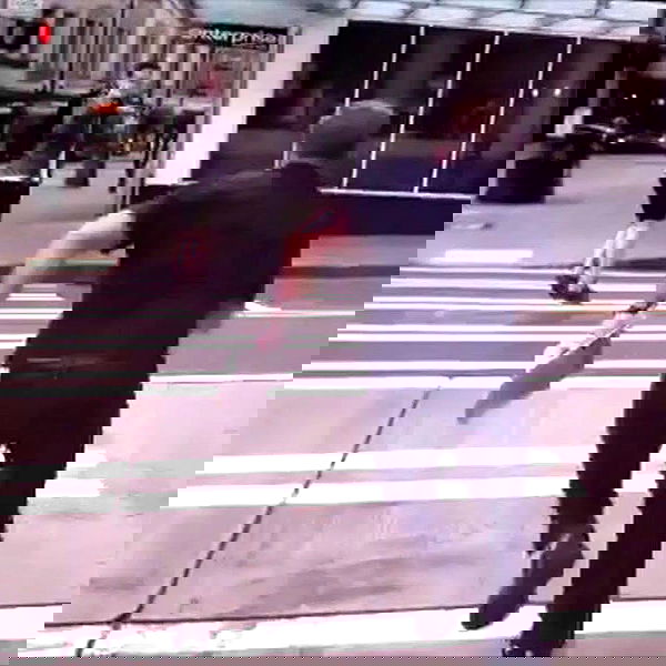 haylujan image ~ Altpins