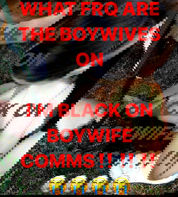 haylujan image ~ Altpins