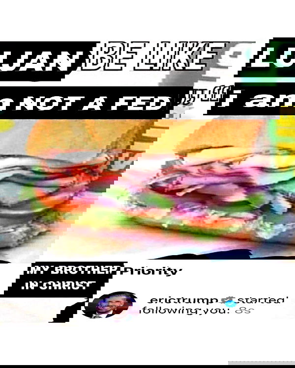 haylujan image ~ Altpins