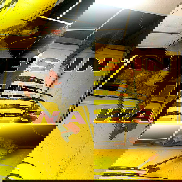 haylujan image ~ Altpins