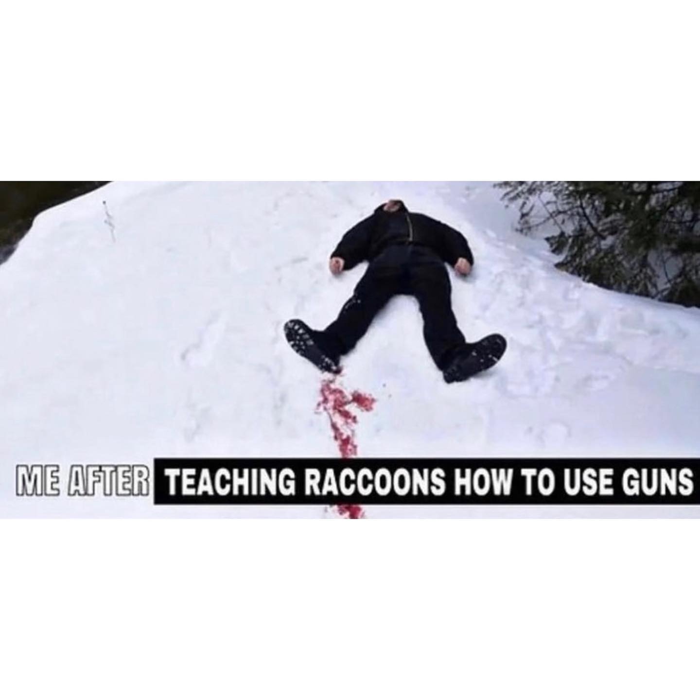 haylujan instagram image archive image