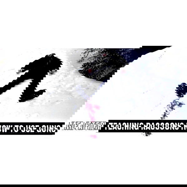 haylujan image ~ Altpins