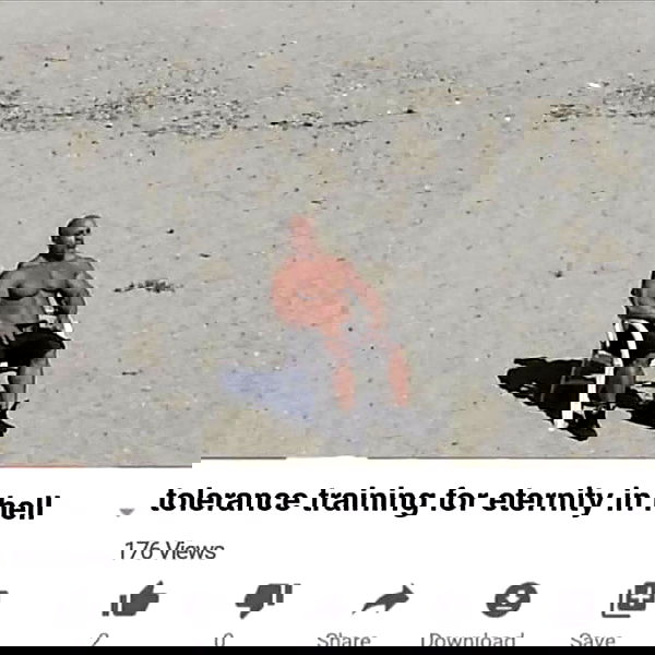 haylujan image ~ Altpins