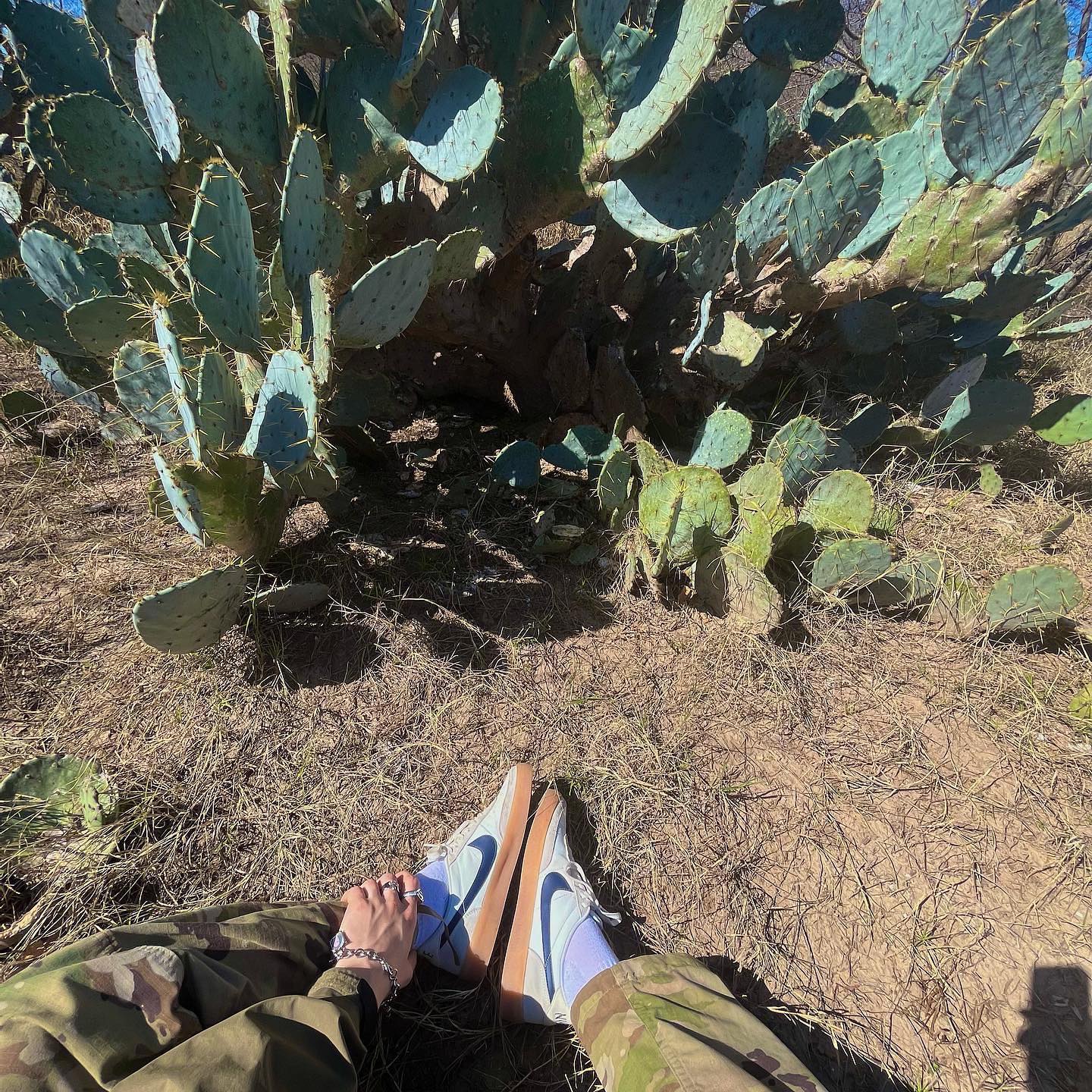 haylujan instagram image archive image