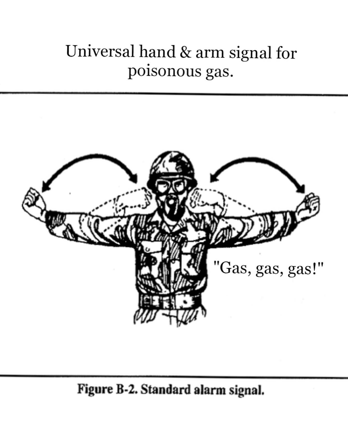 haylujan instagram image archive image