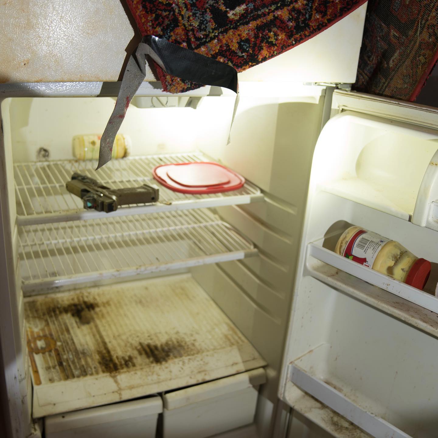 haylujan instagram image archive image