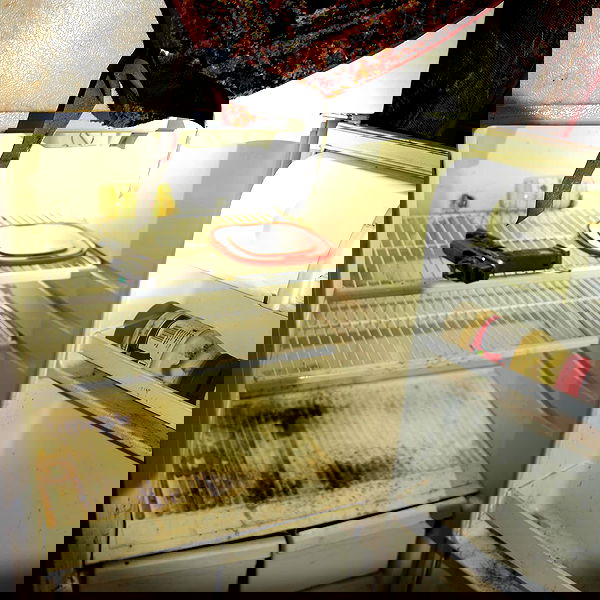 haylujan image ~ Altpins