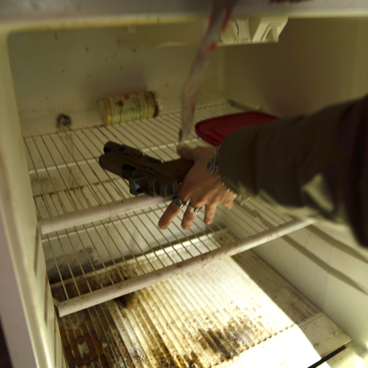 haylujan instagram image archive image