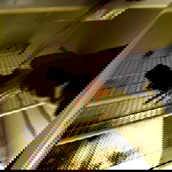 haylujan image ~ Altpins