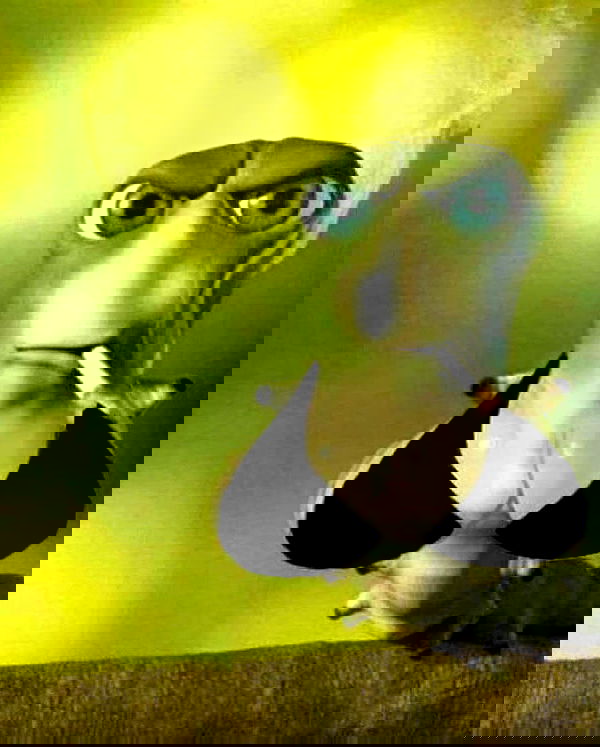 haylujan image ~ Altpins