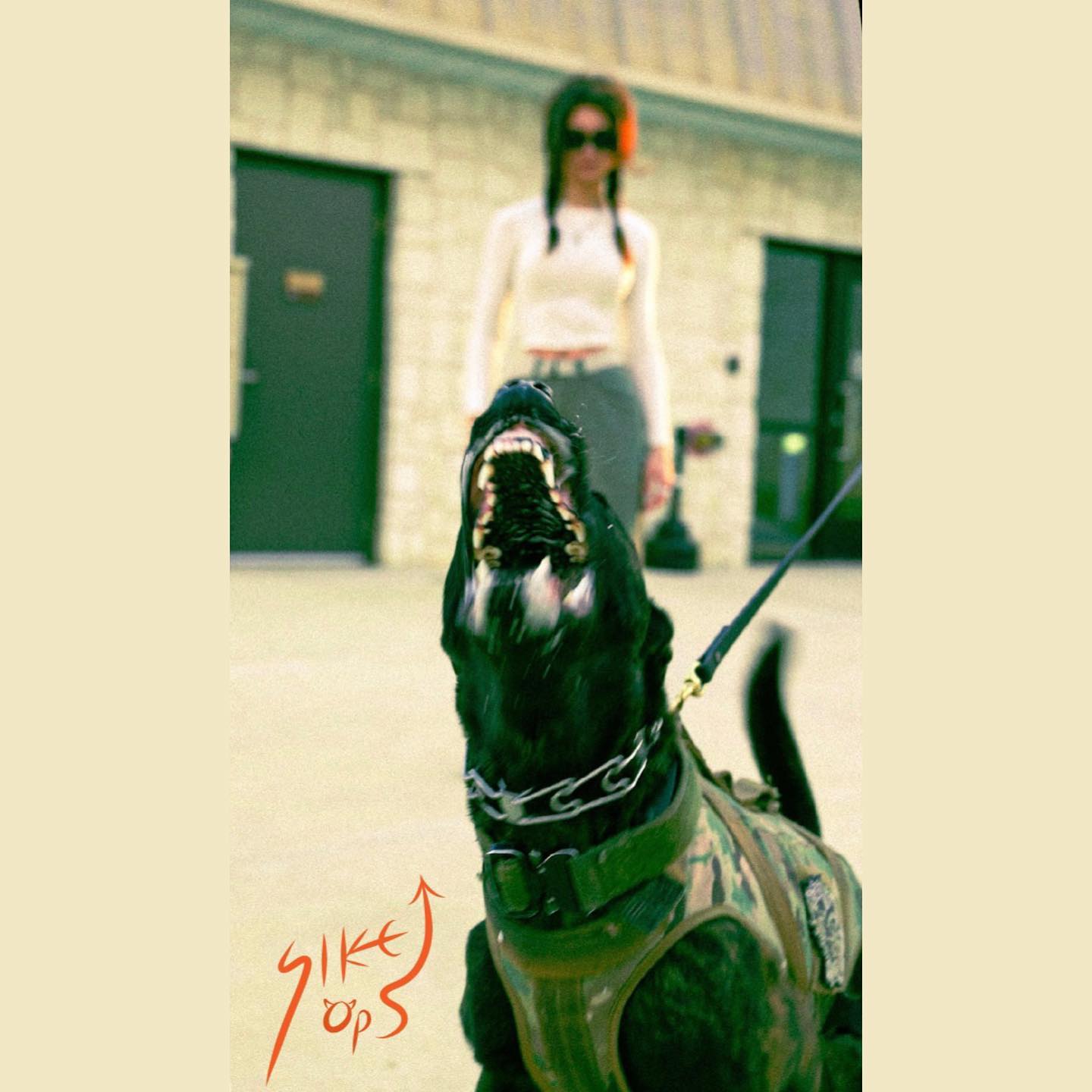 haylujan instagram image archive image