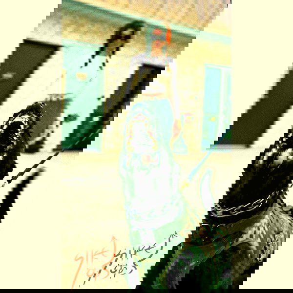 haylujan image ~ Altpins