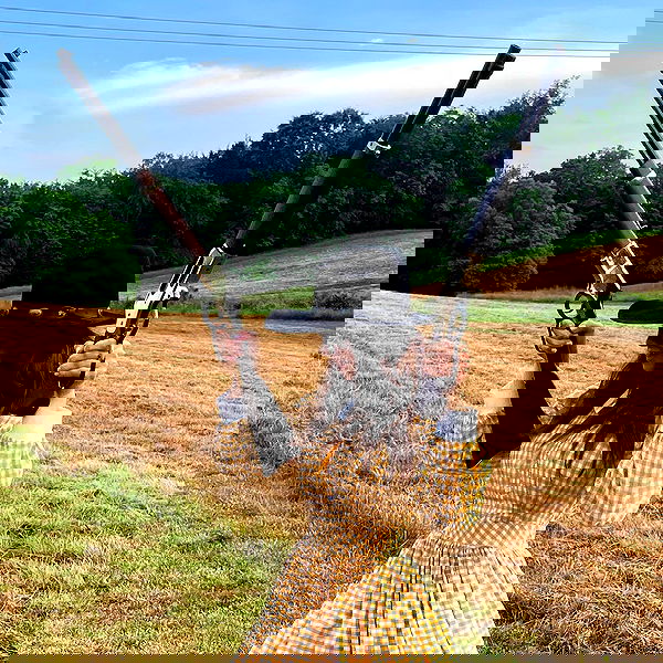 haylujan image ~ Altpins