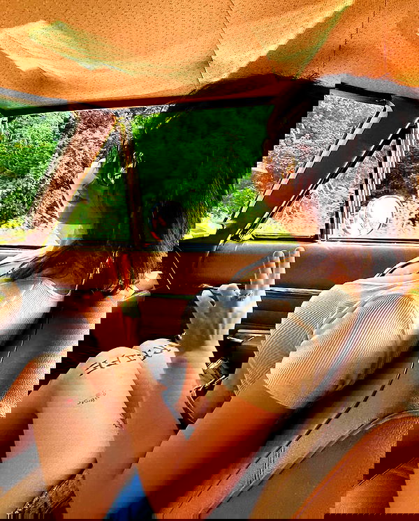 haylujan image ~ Altpins