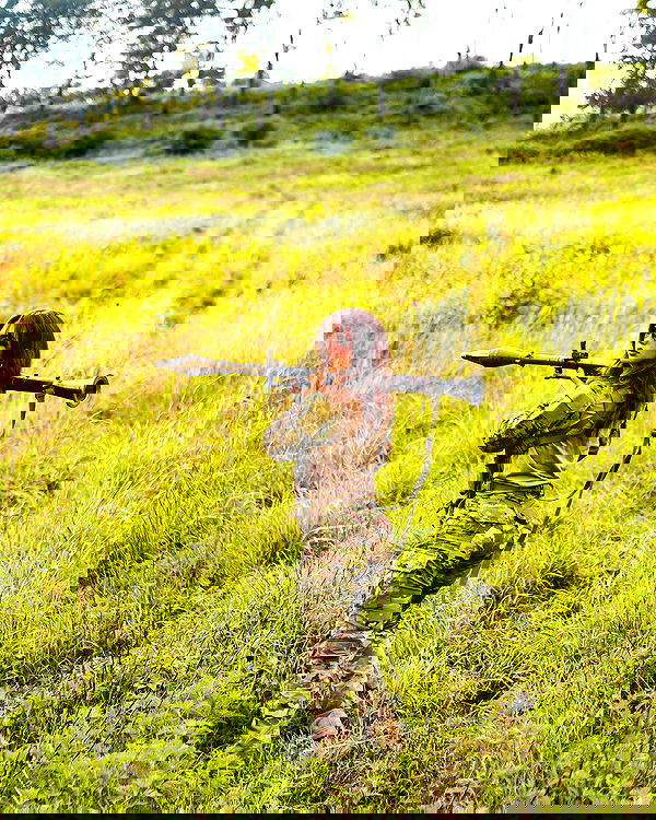 haylujan image ~ Altpins