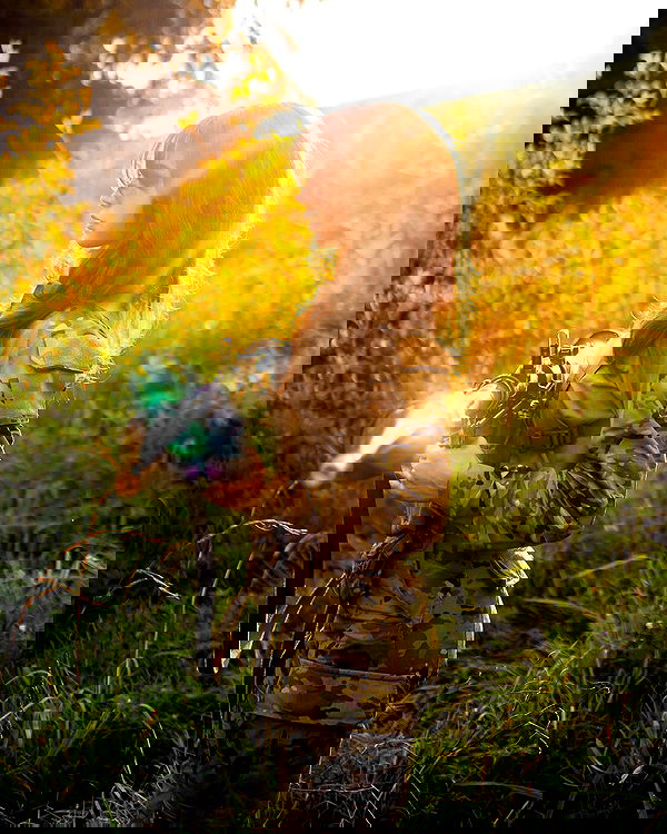 haylujan image ~ Altpins