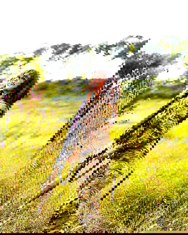 haylujan image ~ Altpins