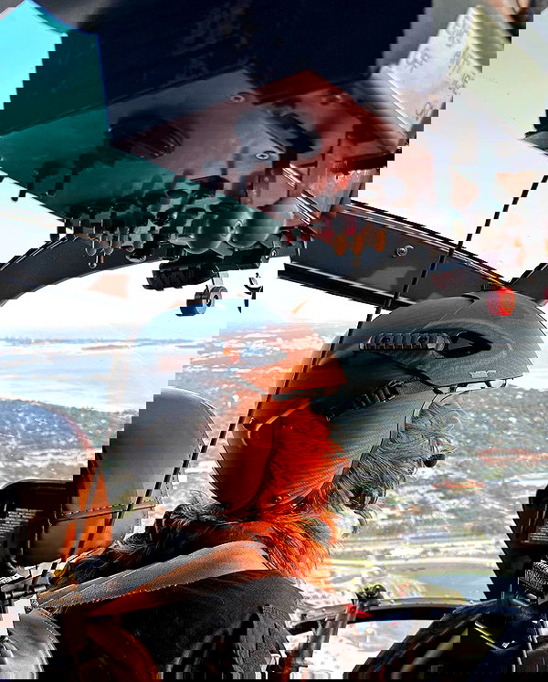 haylujan image ~ Altpins