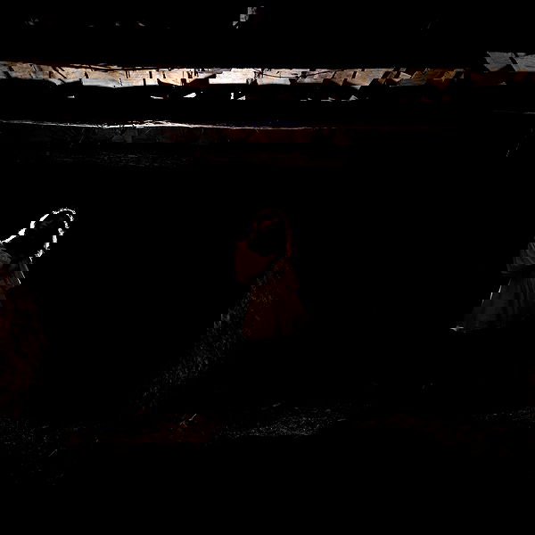 haylujan image ~ Altpins