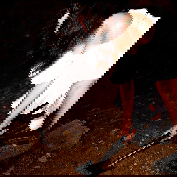 haylujan image ~ Altpins