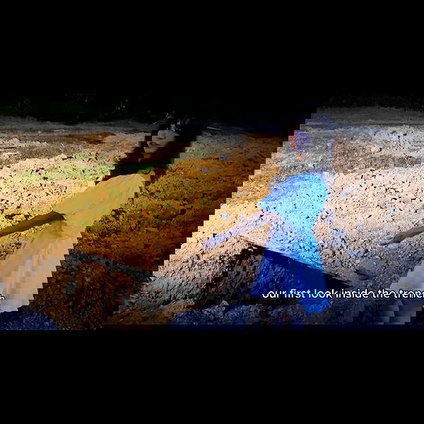 haylujan image ~ Altpins