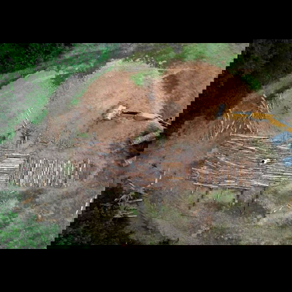 haylujan image ~ Altpins