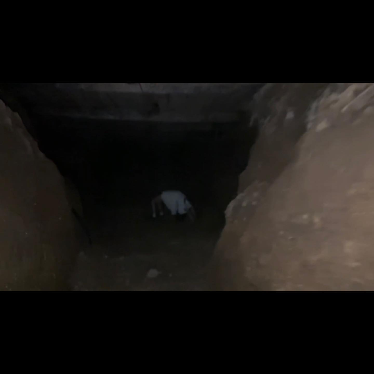 haylujan instagram image archive image