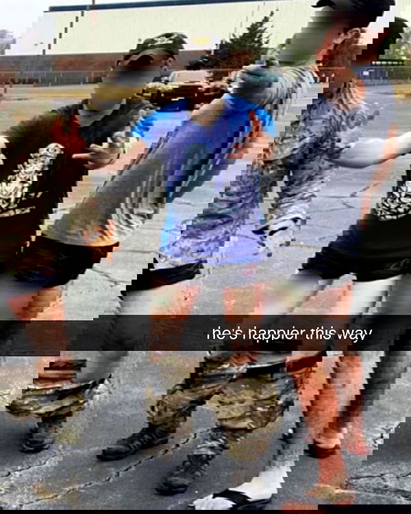 haylujan image ~ Altpins